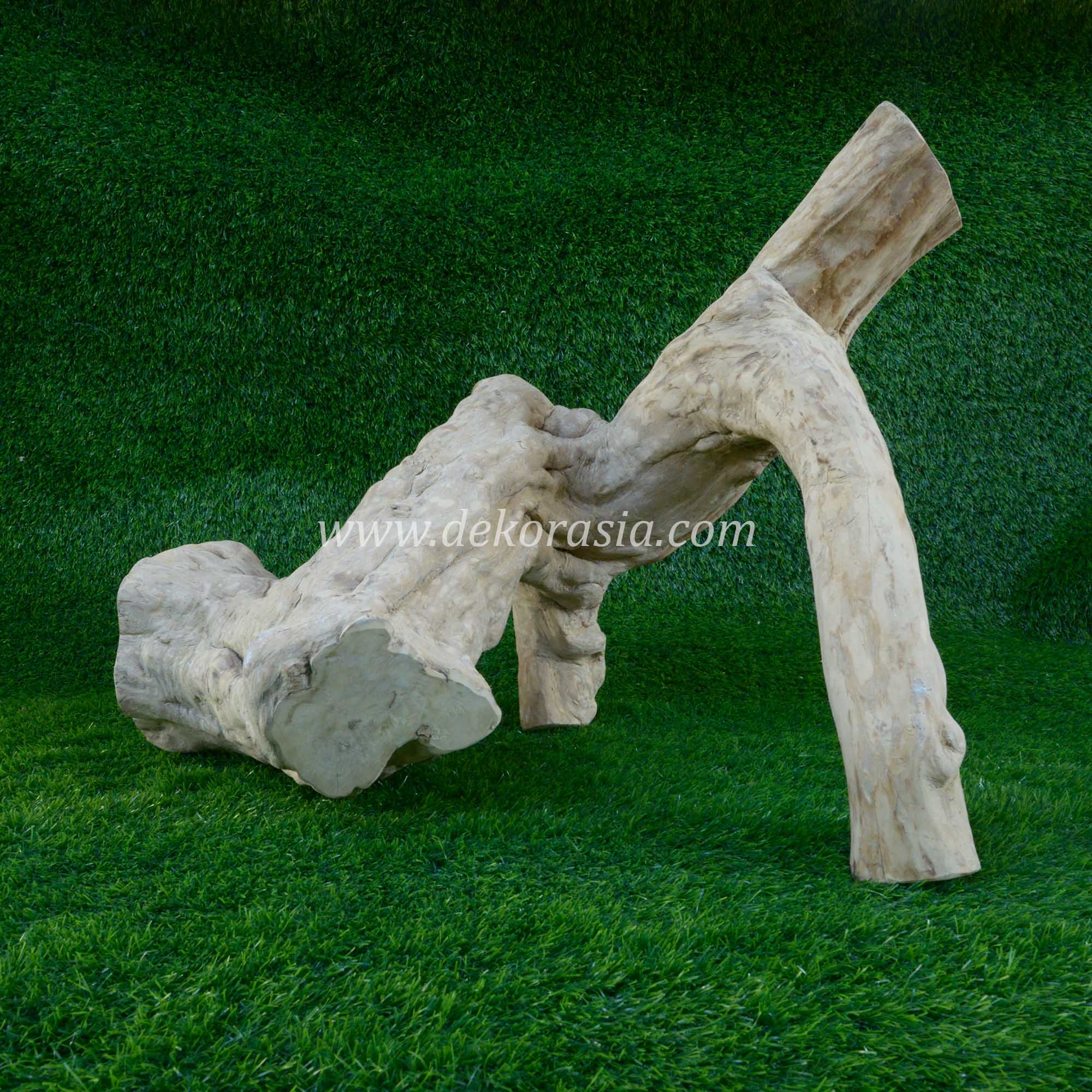 Coffee Root Wood (Size XL) for Jungle Gym Reptile, Vivariums Reptile, Aquarium, Aquascaping, Coffee Root Decor Craft